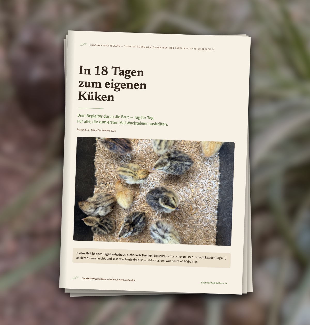 Das Heft „In 18 Tagen zum eigenen Küken“ mit Wachtelküken auf dem Titel